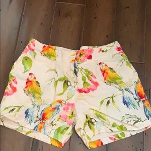 Tommy Bahama parrot print shorts